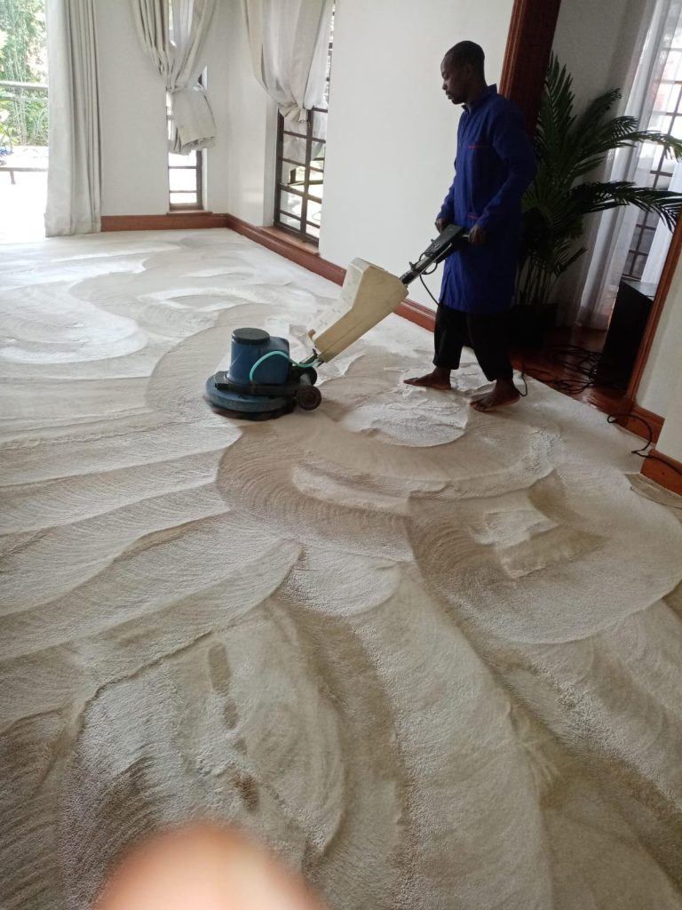 carpet cleaning services