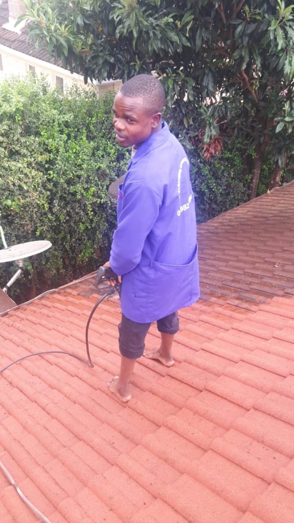 roof cleaning services
